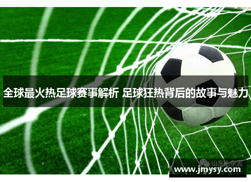 全球最火热足球赛事解析 足球狂热背后的故事与魅力