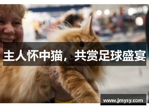 主人怀中猫，共赏足球盛宴