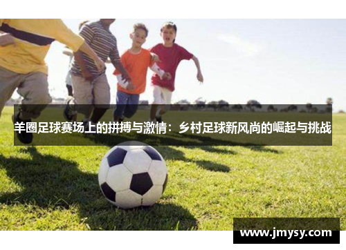 羊圈足球赛场上的拼搏与激情：乡村足球新风尚的崛起与挑战