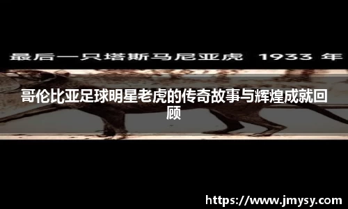 哥伦比亚足球明星老虎的传奇故事与辉煌成就回顾